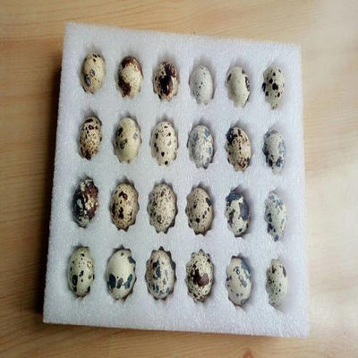 112000mm 2 블러스터 플라스틱 생산을위한 가려진 패드 수압 다이 절단 기계